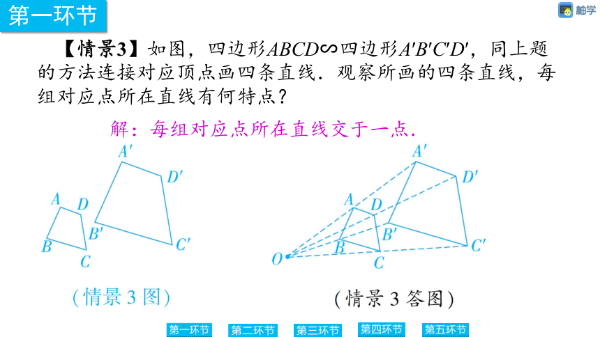 【慧学智评】北师大版九上数学 4-12 图形的位似1 同步授课课件