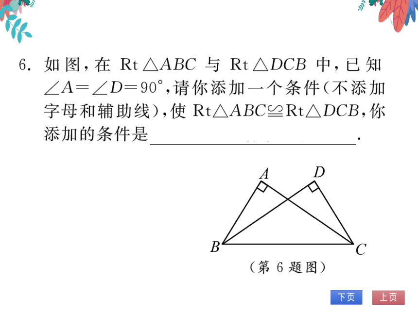 【沪科版】数学八年级上册 14.2三角形全等的判定5.两个直角三角形全等的判定 习题课件