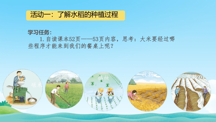 统编版四年级下册3.7《 我们的衣食之源》  第一课时 课件（共19张PPT，含内嵌视频）