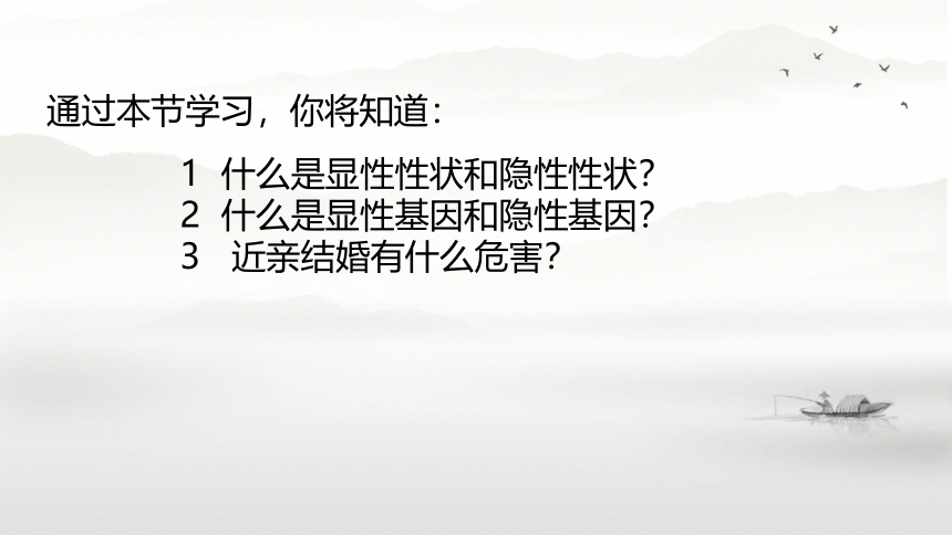 7.2.3基因的显性和隐性 课件(共39张PPT)人教版八年级下册