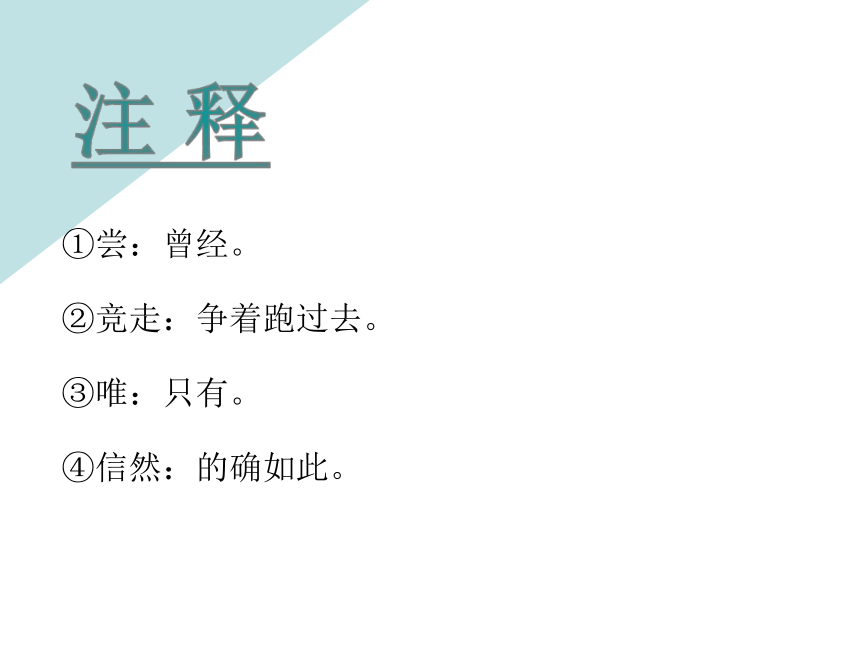 25 王戎不取道旁李  课件(共18张PPT)