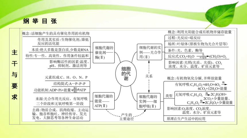 高考生物二轮总复习导学案：专题3 细胞的代谢（综合）（共13张PPT）