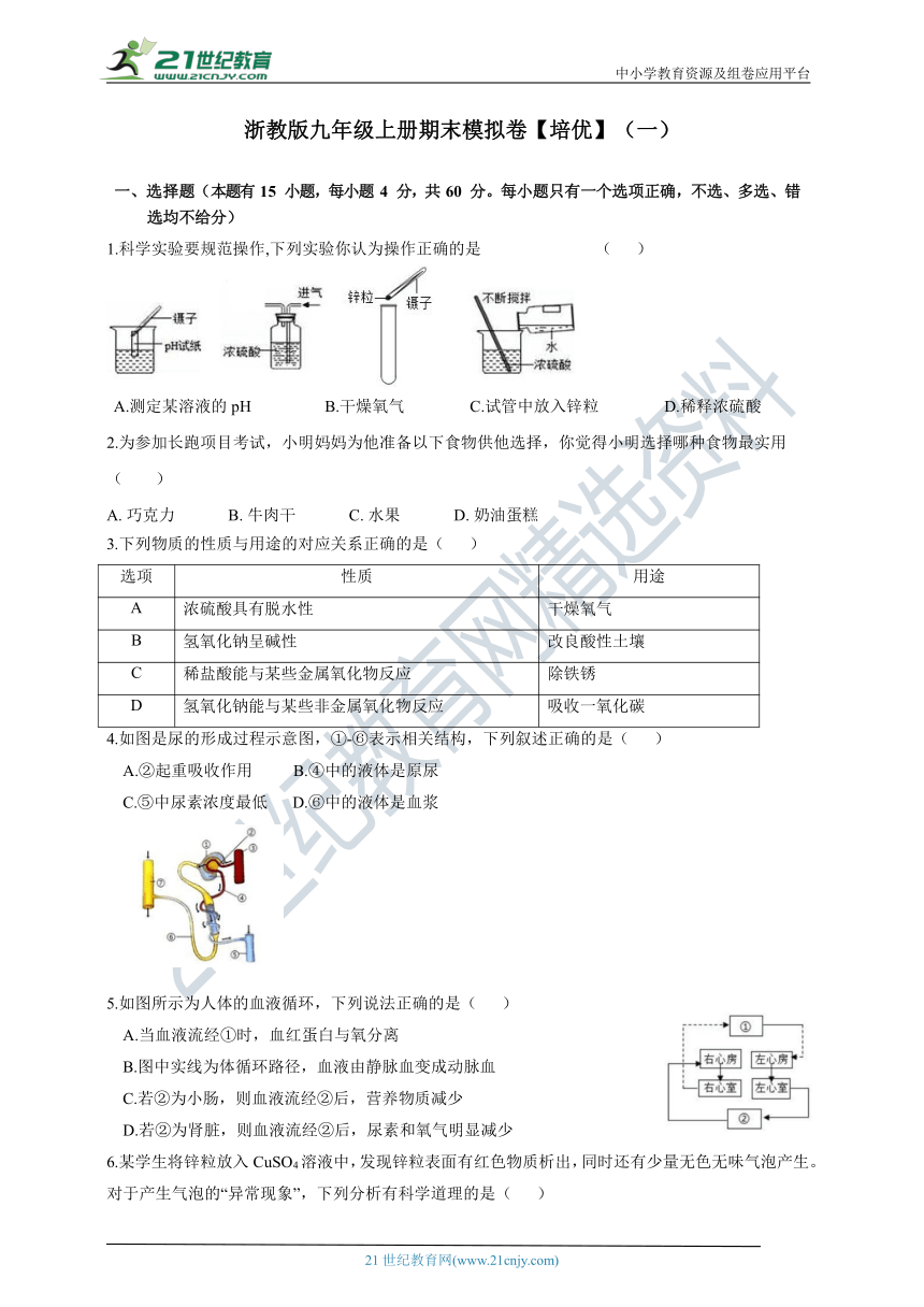 浙教版九年级上册期末模拟卷【培优】（一）（含答案）