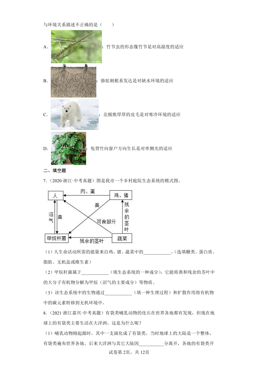 05种群、群落、生态系统-浙江省各地区2020-2022中考科学真题汇编（含解析）