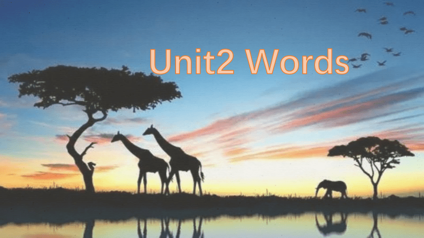 外研版（2019）必修第三册 Unit 2 Making a Difference  Words 课件(共27张PPT)