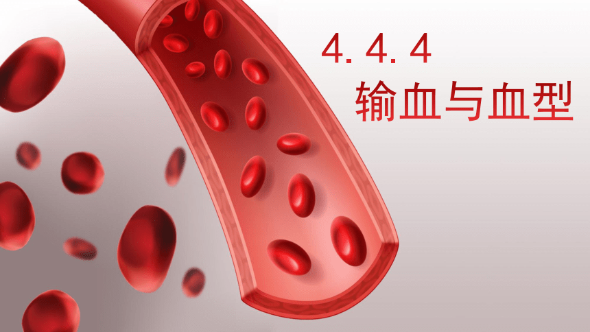 4.4.4 输血与血型课件 (共20张PPT＋内嵌视频2个)人教版七年级下册