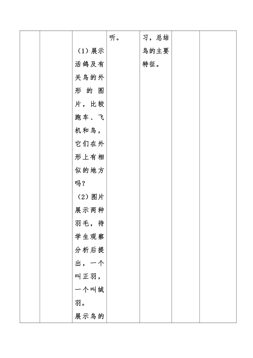 5.1.6  鸟  教案（表格式）2022-2023学年人教版生物八年级上册