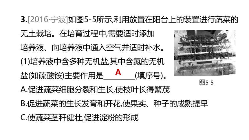 2022年浙江省中考科学一轮复习 第05课时　绿色植物的水和无机盐代谢（课件 34张PPT）