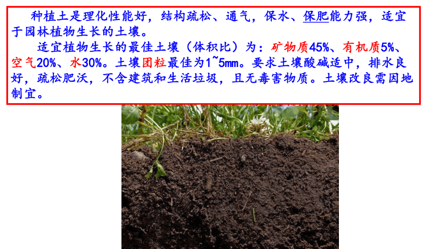 北京出版社八年级劳动技术《种植技术》第一单元--技术初步 种植与日常养护（共60张PPT）