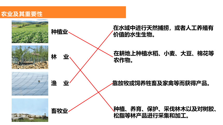 人教版地理八年级上册课件  4.2农业(共29张PPT)（WPS打开）