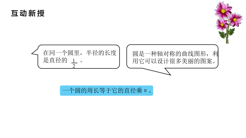 （2022秋季新教材）人教版 六年级数学上册5.8整理和复习课件（12张PPT)