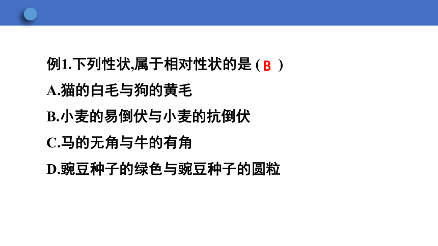 6.2.1 遗传 第1课时课件(共21张PPT)2023-2024学年初中生物冀少版八年级下册