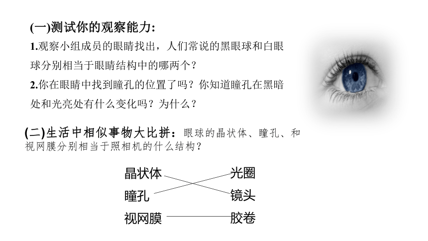 4.12.3 人体感知信息课件(共30张PPT)七年级生物下册（苏教版）