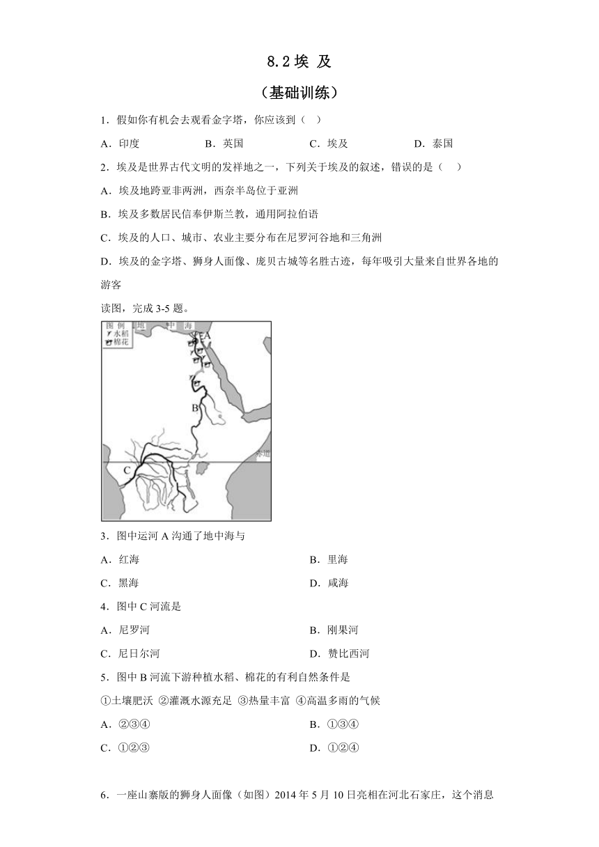 8.2 埃及 基础训练（含答案）2022-2023学年七年级地理下学期湘教版