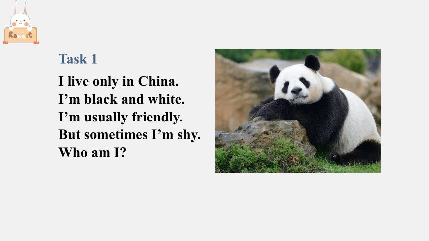 Unit 5 Why do you like pandas Section A Grammar focus-3c 课件(共24张PPT)人教版七年级英语下册