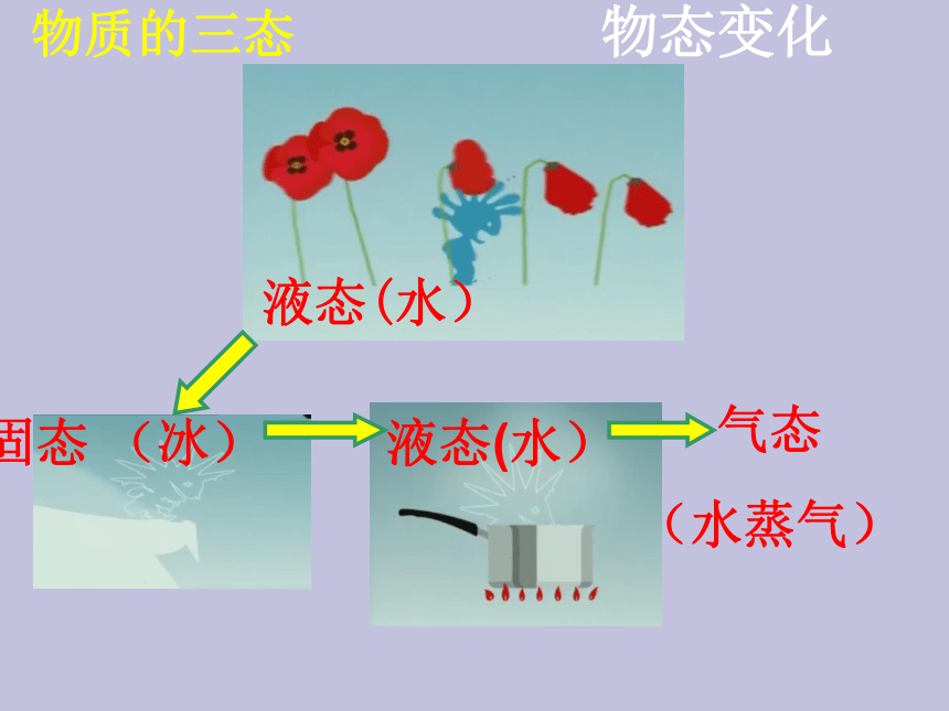 苏科版八年级上册物理 2.1 物质的三态 温度的测量 课件(25张ppt)