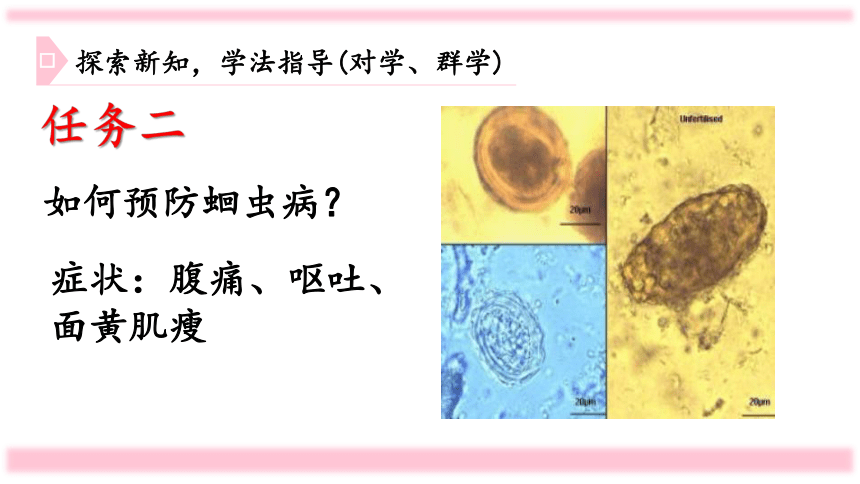 人教版八年级生物上册 5.1.2 线形动物和环节动物 课件  （36张 ）