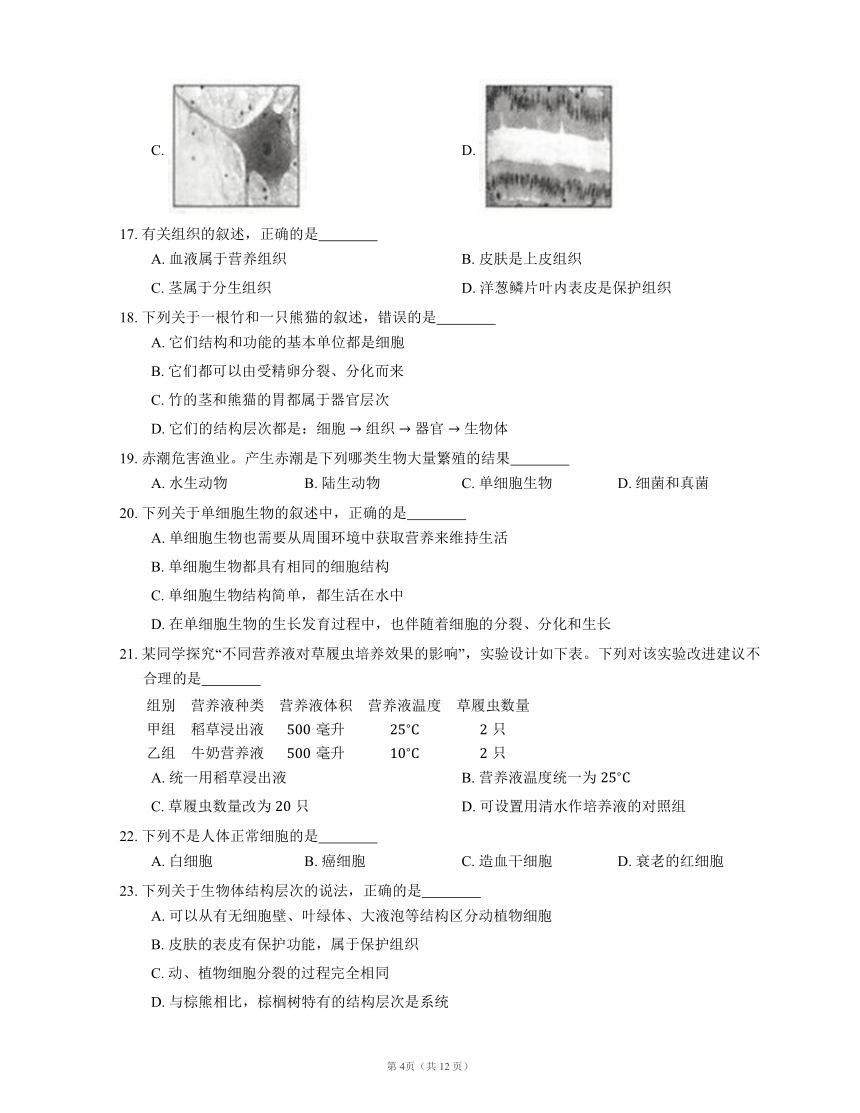 人教版七上生物 第2单元 第2章细胞怎样构成生物体 检测题(word版含解析）