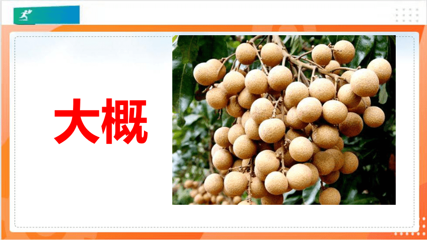 14蜜蜂   课件（共56张PPT）