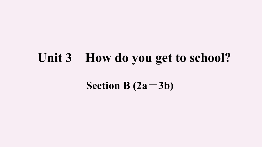 Unit 3 How do you get to school?  SectionB(2a－3b)课件 (共36张PPT)