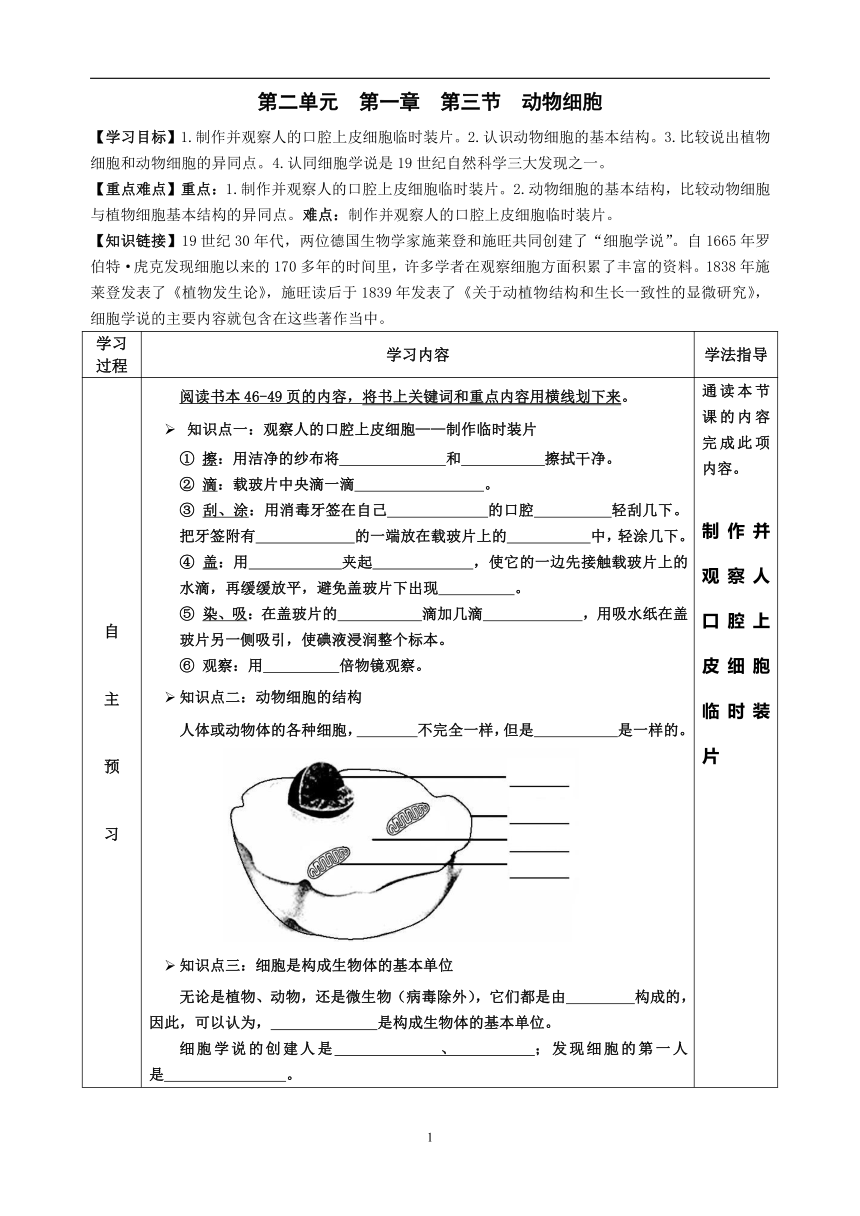 2022-2023学年度七年级第一学期生物同步课程2.1.3 动物细胞 导学案（无答案）