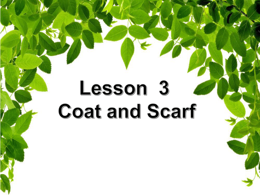 Unit1 Lesson 3 Coat and Scarf 课件（18张）