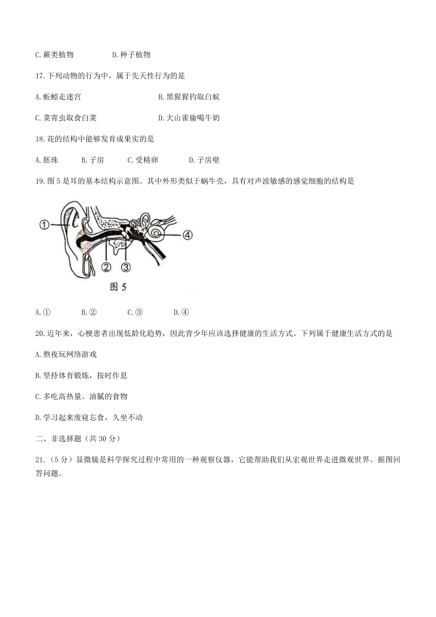 吉林省2021年中考生物试题（word版，含答案）