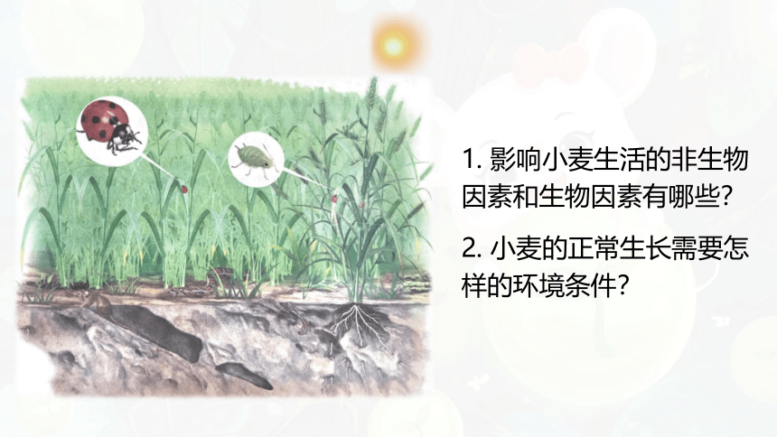 第一节 生物与环境的关系课件(共47张PPT)