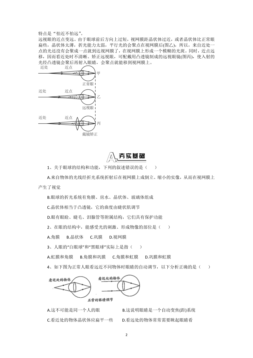 3.1眼与视觉 学案（含答案）