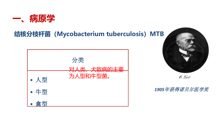 2.4结核病 课件(共23张PPT)-《畜禽疫病防治》同步教学（高教版）