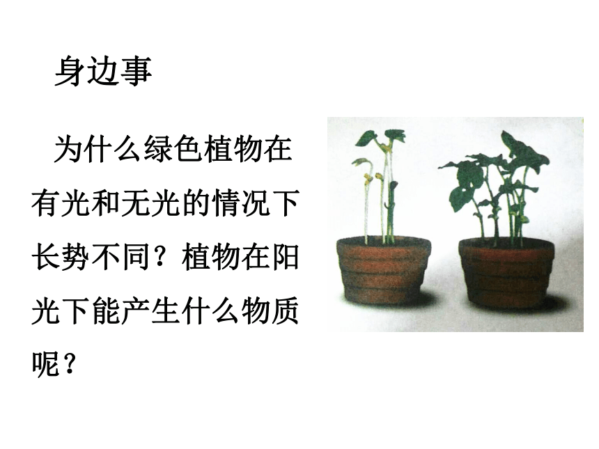 2021-2022学年人教版七年级生物上册3.4绿色植物是生物圈中有机物的制造者课件(共20张PPT)