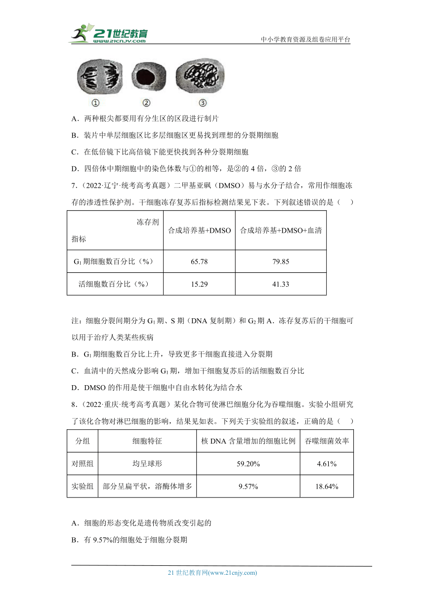 五年2018-2022高考生物真题按知识点分类汇编26-细胞周期与有丝分裂（含解析）