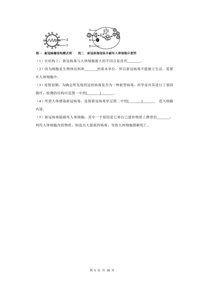 五年山东中考生物真题分类汇编---细菌、真菌、病毒（含解析）