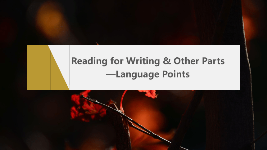 Unit 5Reading for Writing & Other Parts—Language Points  课件 人教版（2019）  必修第三册
