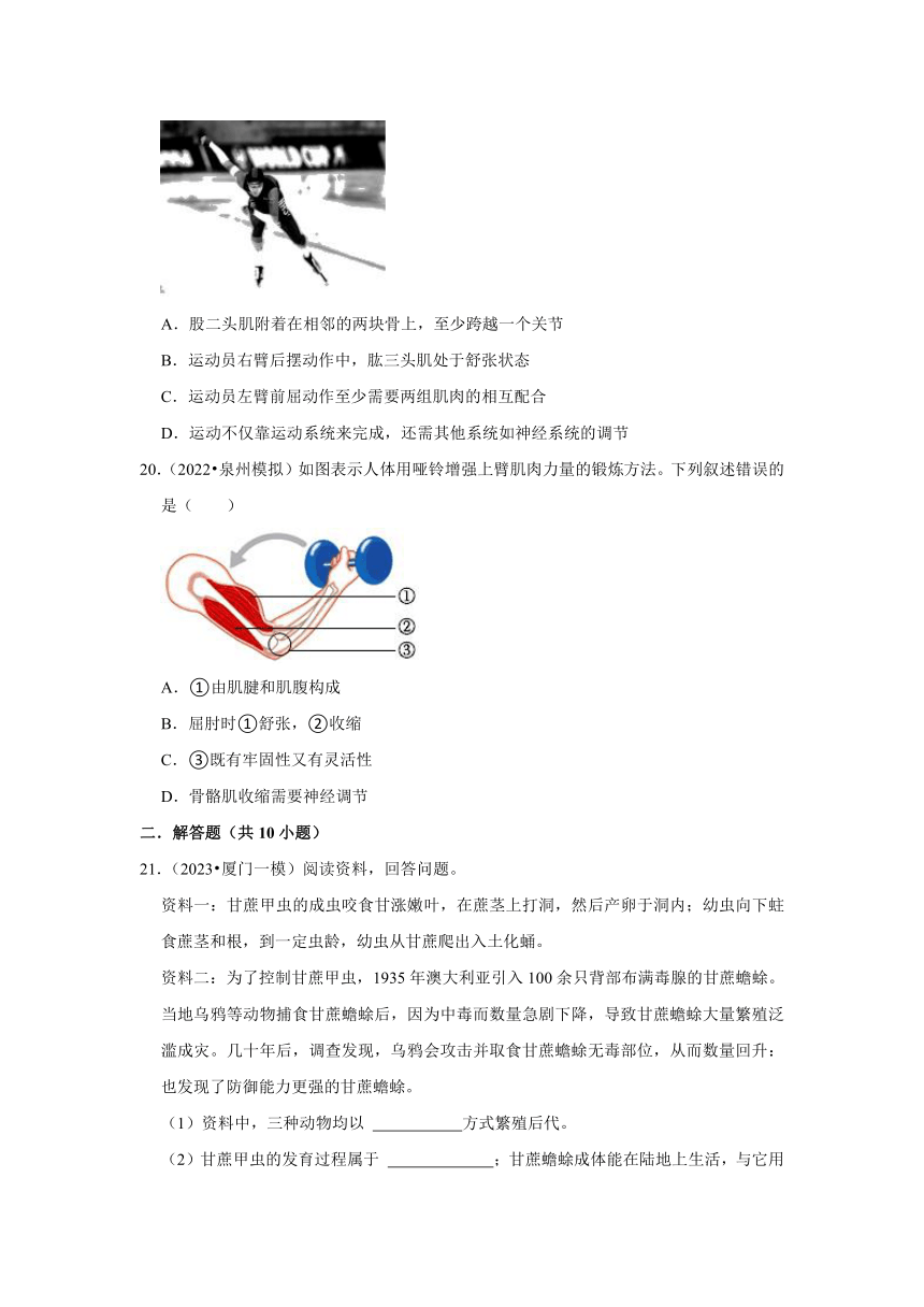 中考专题训练——7动物的运动和行为——2023年福建省中考生物（含解析）