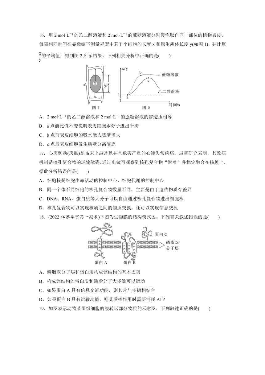 2022-2023学年苏教版2019高中生物必修1 第二章　细胞的结构和生命活动  章末检测试卷(二)（word版含解析）