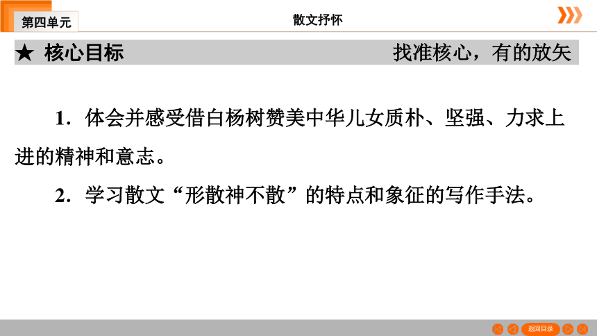 15 白杨礼赞习题课件（共49张幻灯片）