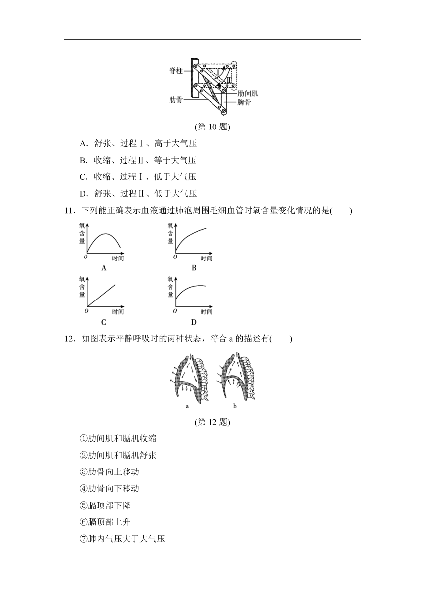 2021-2022学年人教版生物七年级下册第四单元第三章人体的呼吸达标测试卷(word版含解析）