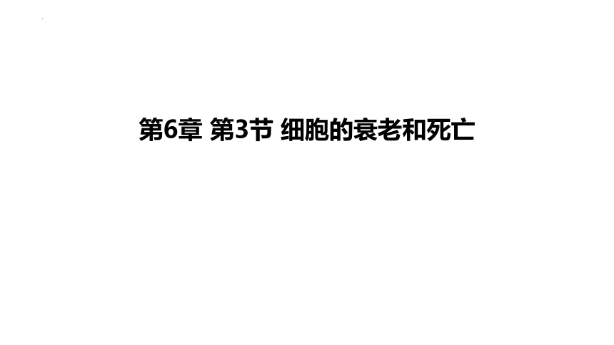 生物人教版（2019）必修1 6.3细胞的衰老和死亡（共22张ppt）