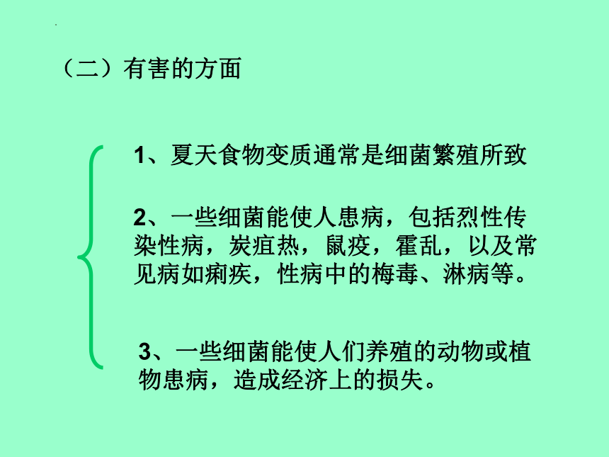 14.3神奇的微生物课件(共37张PPT)