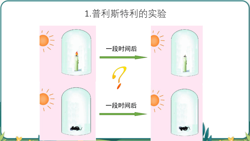 3.5.1光合作用吸收二氧化碳释放氧气课件(共45张PPT) 2022-2023学年人教版生物七年级上册