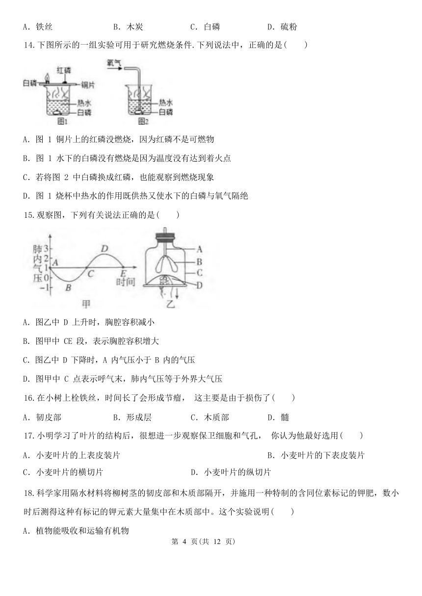 浙教版科学八年级下册期末专题复习：选择题三（含解析）