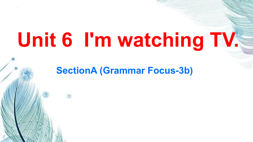 Unit 6  I'm watching TV. SectionA (Grammar Focus-3b) 课件(共21张PPT)