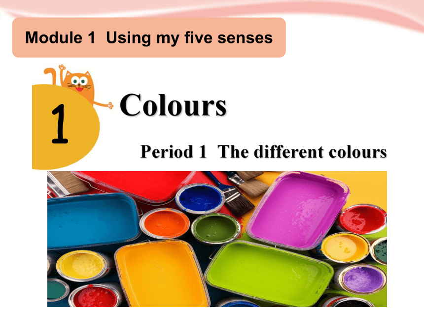 Module 1 Unit 1 Colours 课件(共18张PPT)