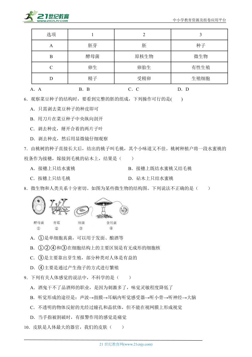 浙教版科学七年级下册期中模拟测试卷（含解析）