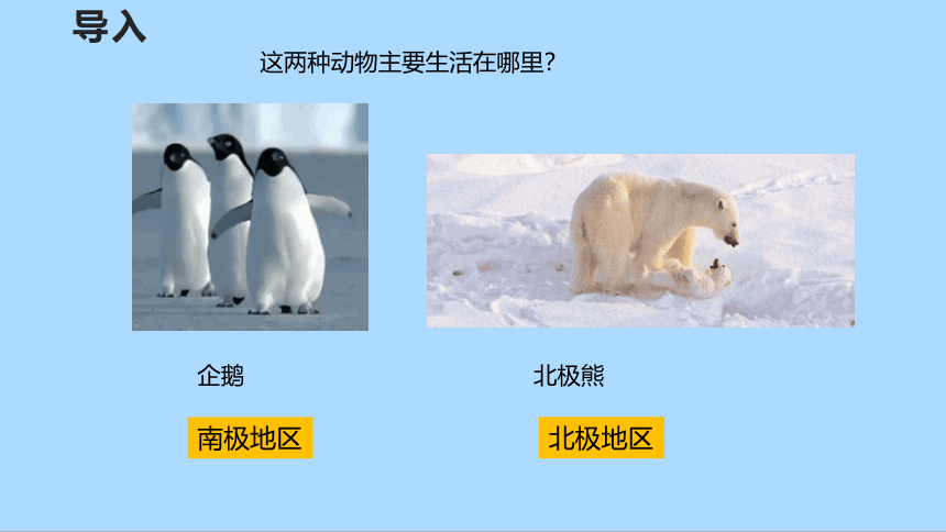 人教版地理七年级下册10 极地地区 第一课时 课件(共30张PPT)