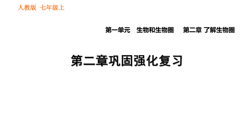 初中生物 人教版 七年级上册第三单元　第一章第二章 了解生物圈复习课件（36张PPT）