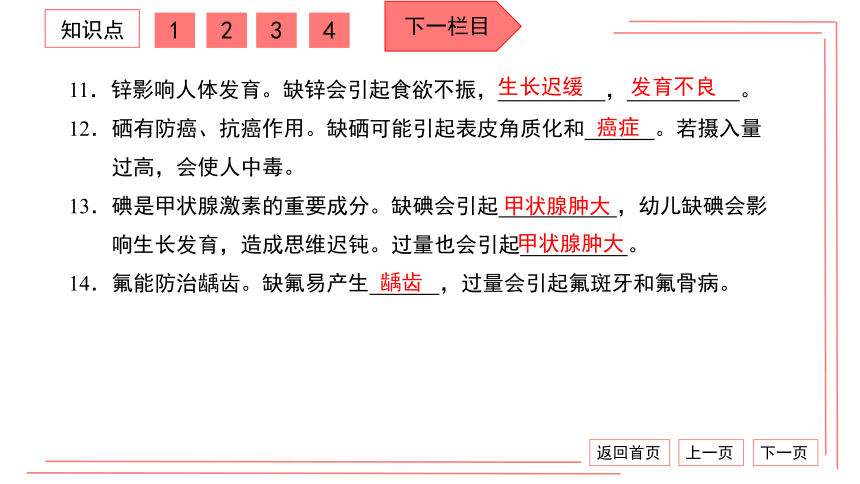 【期末复习】人教版化学九下 第十二单元 化学与生活 复习卷 习题课件 （38张PPT）