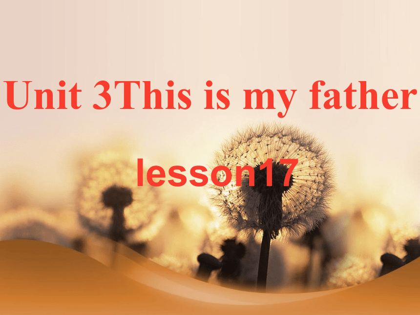 Unit 3  This is my father. Lesson17 课件(共18张PPT)