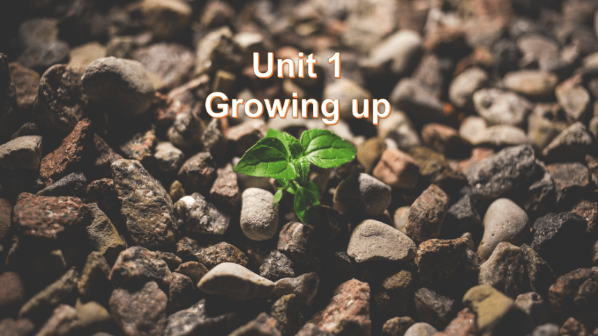 外研版（2019）选择性必修第二册Unit 1 Growing up Using language 课件-(共18张PPT)